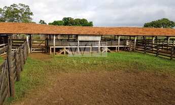 Imagem 4: Fazenda - Rural - Inocência