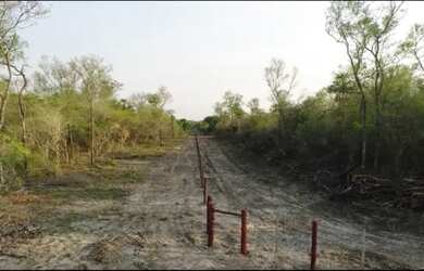 Imagem 5: Fazenda 500ha no Paraguai