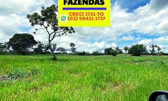 Imagem 6: Fazenda Região do Garimpinho Tocantins dupla aptidão 83 alqueires 401,72 hectares