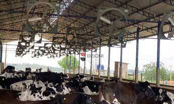 Imagem: Sítio com 2 dormitórios à venda, 147000