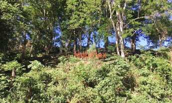 Imagem 6: Terreno a venda a 50 metros do mar no bairro Ribeirão da Ilha em Florianópolis/SC