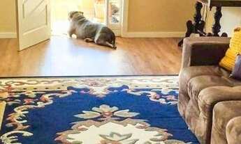 Imagem 2: Casa à venda, 105 m² por R$ 445.000,00 - Parque do Ingá - Teresópolis/RJ