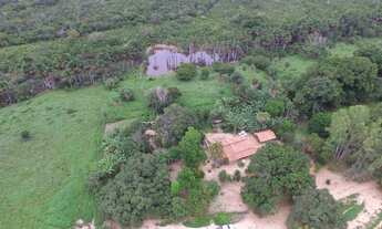 Imagem: Fazenda à venda, 435 Hectares em Cristalândia/TO
