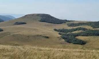 Imagem 6: 600 hectares numa paisagem inigualável dos Campos de Cima da Serra