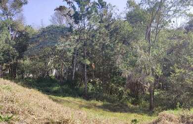 Imagem 6: Terreno à venda, 300 m² - Granja Anita - Mogi das Cruzes/SP