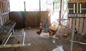 Imagem 4: Chácara com 3 dormitórios à venda, 6 m² por R$ 530.000,00 - Fronteira - Santo Antônio do L