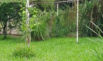 Imagem 6: Chácara com 7 hectares em Glórinha