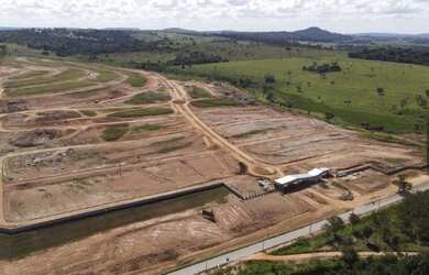 Imagem 4: Vinhas flamboyant*