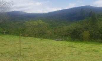 Imagem: Ótimo terreno no Braço