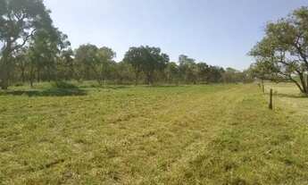 Imagem 2: Bela área na saída para SP, 10.000 m²