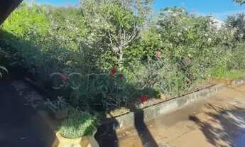 Imagem 3: Casa Padrão em São José do Rio Preto