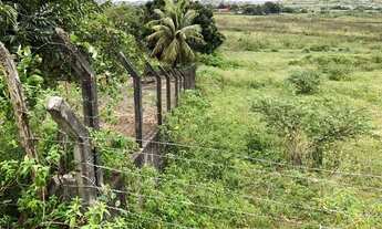Imagem 6: Tereno no Parque dos Faróis