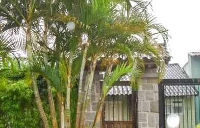 Imagem 5: Casa para Venda - 560m², 5 dormitórios, sendo 4 suites, 2 vagas - Vila Jardim