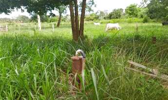 Imagem 3: SÍTIO 40 HA - RODA D´AGUA - NOBRES