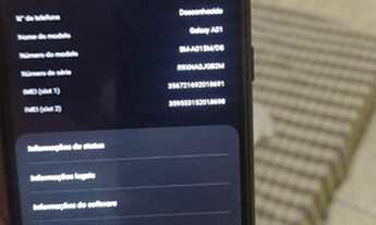 Imagem 4: Caridade ou fortleza