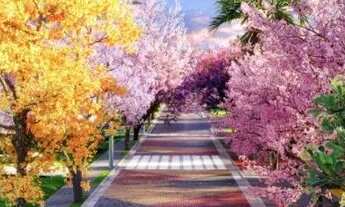 Imagem 6: Vinhas Flamboyant Lote à Venda, 400 por R$ 600.000 no setor Residencial Marília VN7560