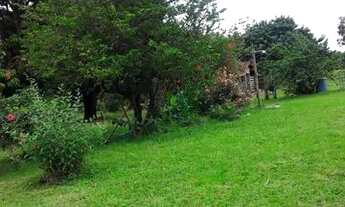 Imagem 5: Chácara a 60 km de Goiânia