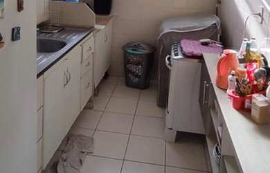 Imagem 7: Apartamento para venda Parque das Violetas