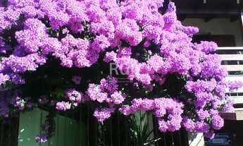 Imagem 4: Casa Condominio para Venda - 305m², 4 dormitórios, 2 vagas - Nonoai