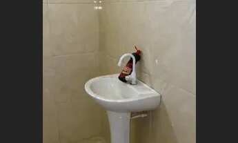 Imagem 3: Alugo loja comercial- Samambaia Sul