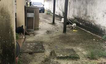 Imagem 6: Casa comercial para locação em Campo Grande em via movimentada, próximo ao centro esportiv