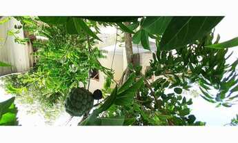 Imagem 5: Casa de repasse no bairro Quinta das Figueiras - Extremoz