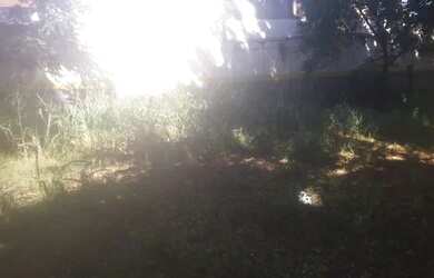 Imagem 5: Área Comercial Rua Olinda Ellis Centro Campo Grande