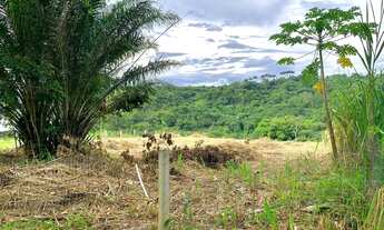 Imagem 4: Lote no Haras de Aldeia