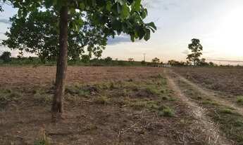 Imagem 4: FAZENDA BEIRA DE RIO 84 HA