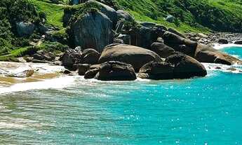 Imagem 6: Casa Praia Mole temporada Loft Aluguel Hotel frente Praia fundos Lagoa Florianópolis