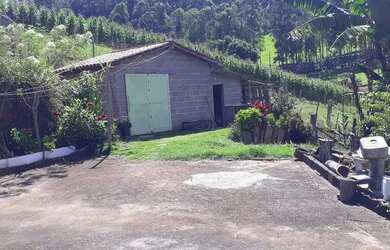 Imagem 3: Vendo essa chácara, rica em água, em Inconfidentes,sul de Minas Gerais