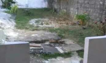 Imagem 4: Casa No Trapiche