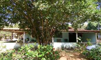 Imagem 6: Chácara de 10.000 metros em Piripiri