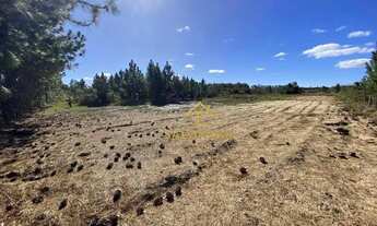 Imagem 2: Salomone vende 2,3 Hectares na Rs040