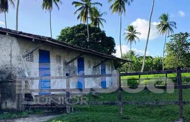 Imagem 6: FAZENDA POVOADO TIJUPEBA EM ITAPORANGA D´AJUDA