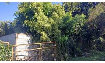 Imagem 2: Fazenda em Aparecida