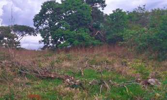 Imagem 7: 2 alqueires de terra