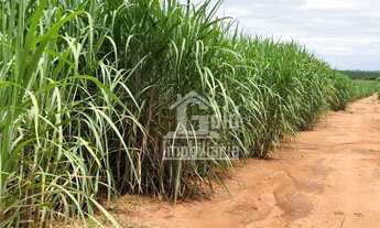 Imagem: Fazenda com 187 Alqueires em Cana-de-Acúçar