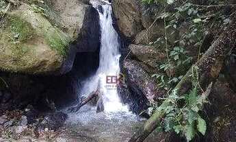 Imagem 4: Sítio com 2 dormitórios à venda, 63000 m² por R$ 4.400.000,00 - Santa Barbara (São Francis