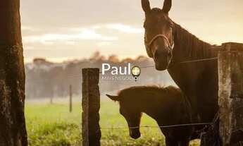 Imagem 7: Terreno à venda em Jaguariúna, Haras Patente, com 845.09 m², Haras Patente