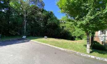 Imagem 5: Terreno - Bairro Avenida Central