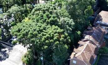 Imagem 2: Terreno à Venda em Canela!