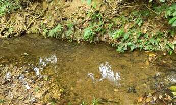Imagem 5: Terreno rural 10ha, com barracão, com riacho no fundo, bela vista, Jaboticatubas