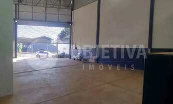 Imagem 3: Galpão para aluguel, 2 vagas, SEGISMUNDO PEREIRA - UBERLANDIA/MG