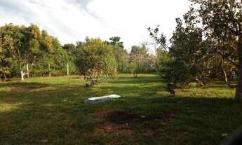 Imagem 4: Vendo essa Casa - Paricatuba Iranduba