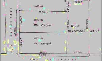 Imagem 2: VENDO TERRENO PRÓXIMO AO LITERATO COM 2800m2 RUA ASFALTADA