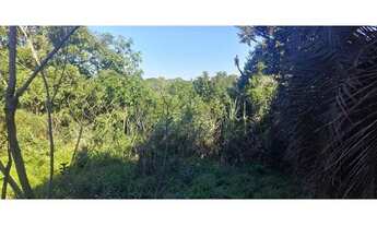 Imagem 7: Fazenda em Aparecida