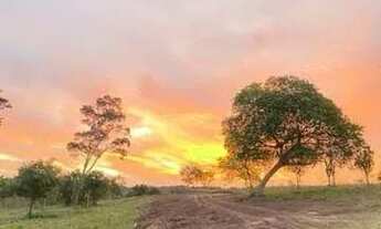 Imagem: Terrenos e Lotes em Feira de Santana