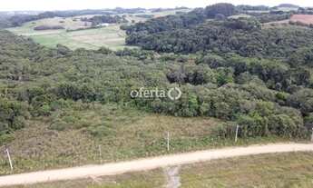 Imagem 2: Chácara em Araucária / Camundá