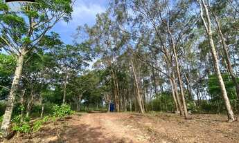 Imagem 3: Chácara com Cachoeira mata nativa - 4 quartos, 4 suítes, 3 salas e 250m² de área em Chapad